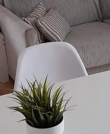 Terrassa-solarium Centre * بلاتجا ذارو