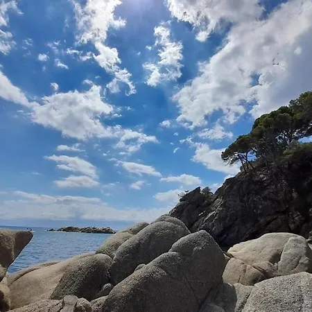 Terrassa-solarium Centre * بلاتجا ذارو