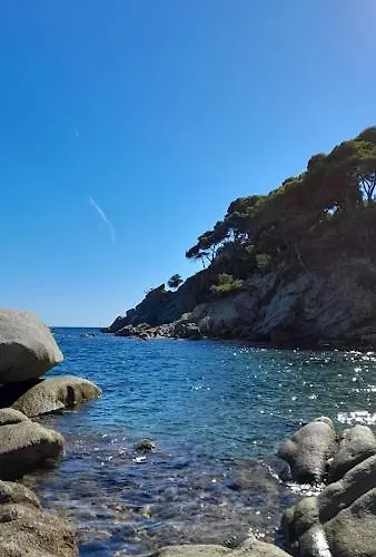 Appartement Terrassa-solarium Centre *